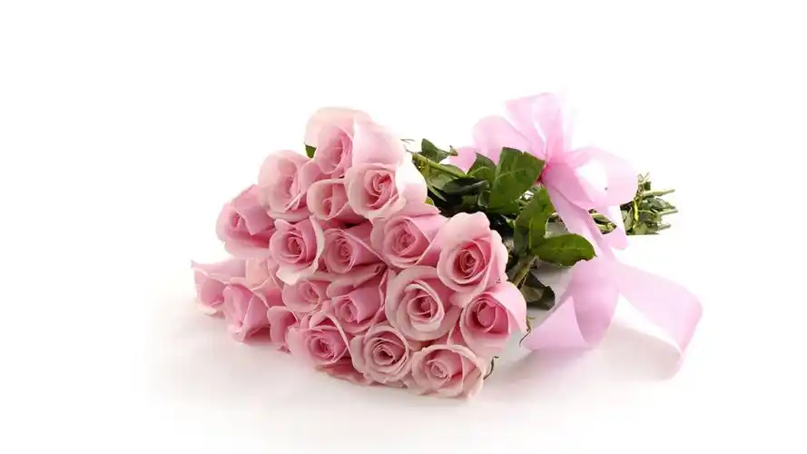 粉色玫瑰花宽屏高清电脑桌面壁纸大全