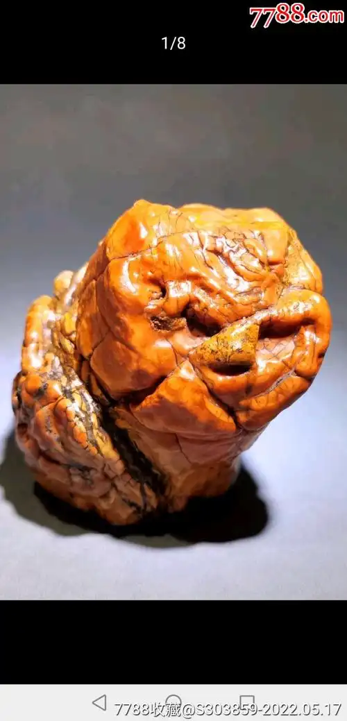 沙漠漆质地好颜色漂亮无伤完美造形象猫头鹰或草原小雄狮-风砺石/戈壁