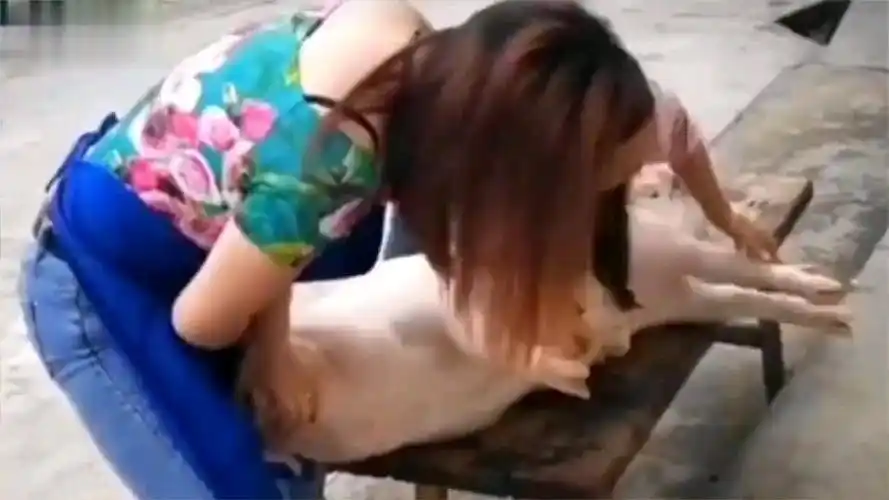 18岁美女杀猪,场面壮观,看完我差点笑出了猪叫声